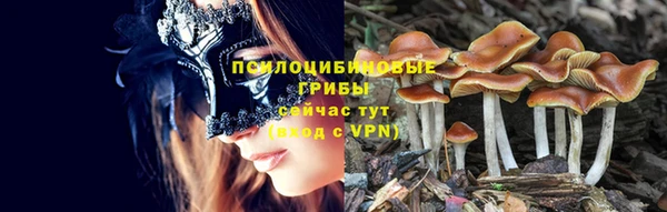 СК Балахна