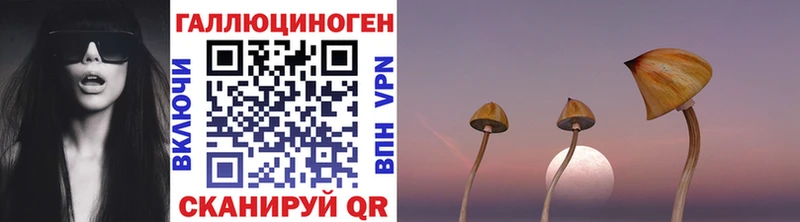 Псилоцибиновые грибы MAGIC MUSHROOMS  магазин продажи наркотиков  блэк спрут маркетплейс  Белово 
